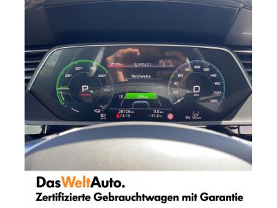 Audi Q8 e-tron Gebrauchtwagen