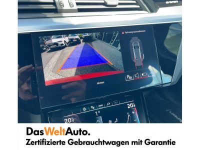 Audi Q8 e-tron Gebrauchtwagen