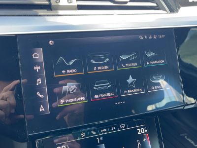 Audi Q8 e-tron Gebrauchtwagen
