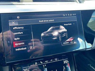 Audi Q8 e-tron Gebrauchtwagen