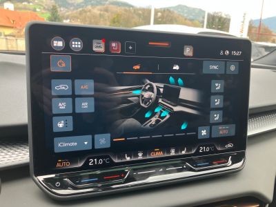 Cupra Terramar Gebrauchtwagen