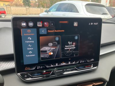 Cupra Terramar Gebrauchtwagen