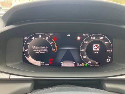 Cupra Terramar Gebrauchtwagen