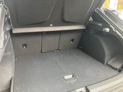 Cupra Terramar Gebrauchtwagen