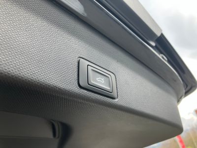 Cupra Terramar Gebrauchtwagen