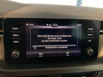 Skoda Kamiq Gebrauchtwagen