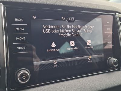 Skoda Karoq Gebrauchtwagen