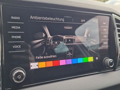 Skoda Karoq Gebrauchtwagen