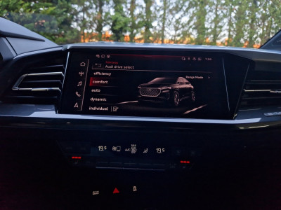 Audi Q4 e-tron Gebrauchtwagen