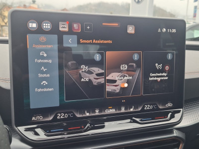 Cupra Formentor Gebrauchtwagen