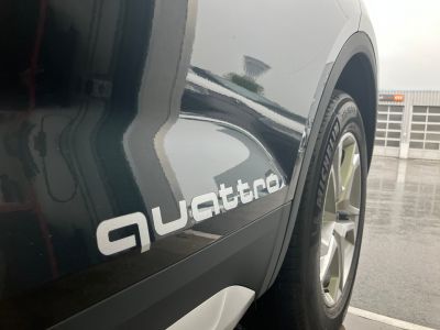 Audi Q5 Gebrauchtwagen