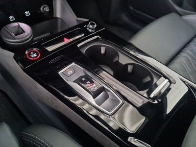 Audi Q6 e-tron Gebrauchtwagen