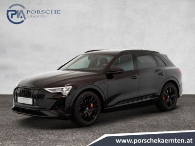 Audi Q8 e-tron Gebrauchtwagen