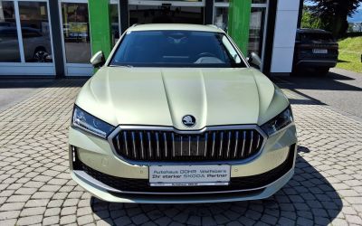 Skoda Superb Gebrauchtwagen