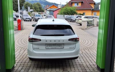 Skoda Superb Gebrauchtwagen