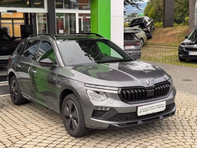 Skoda Kamiq Gebrauchtwagen Skoda Kamiq Gebrauchtwagen