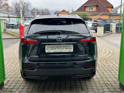 Lexus NX Gebrauchtwagen
