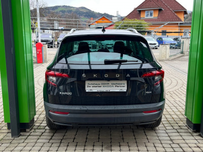 Skoda Karoq Gebrauchtwagen