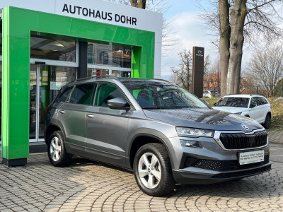 Skoda Karoq Gebrauchtwagen