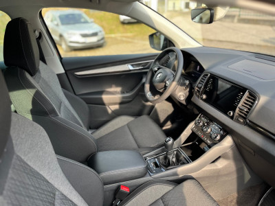 Skoda Karoq Gebrauchtwagen