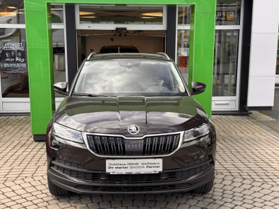 Skoda Karoq Gebrauchtwagen