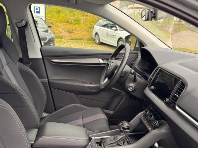 Skoda Karoq Gebrauchtwagen