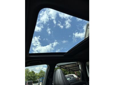 Subaru Forester Vorführwagen Subaru Forester Vorführwagen