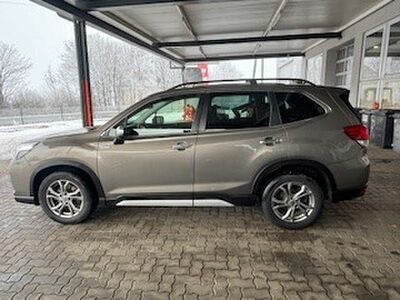 Subaru Forester Gebrauchtwagen