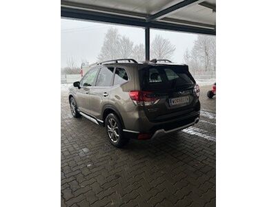 Subaru Forester Gebrauchtwagen