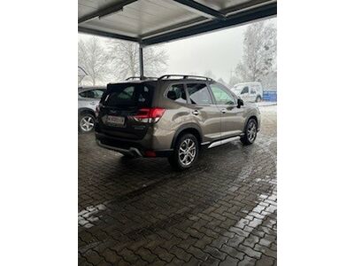 Subaru Forester Gebrauchtwagen