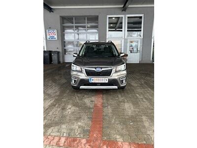Subaru Forester Gebrauchtwagen