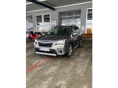 Subaru Forester Gebrauchtwagen