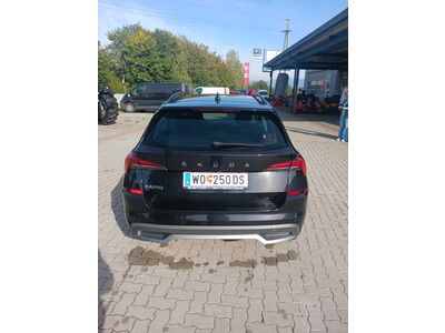Skoda Kamiq Gebrauchtwagen Skoda Kamiq Gebrauchtwagen