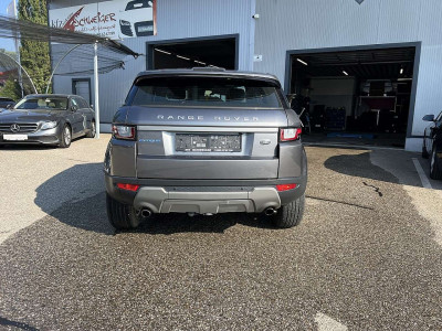 Land Rover Range Rover Evoque Gebrauchtwagen