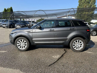 Land Rover Range Rover Evoque Gebrauchtwagen