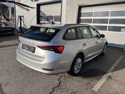 Skoda Octavia Gebrauchtwagen