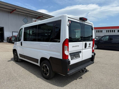 Fiat Ducato Gebrauchtwagen