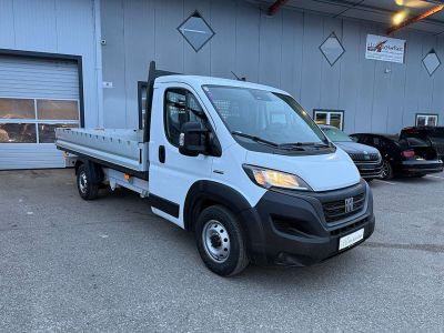 Fiat Ducato Gebrauchtwagen