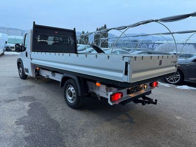 Fiat Ducato Gebrauchtwagen