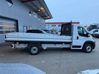 Fiat Ducato Gebrauchtwagen