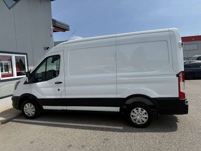 Ford Transit Gebrauchtwagen Ford Transit Gebrauchtwagen
