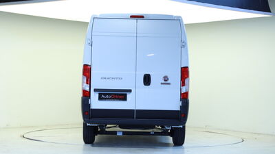 Fiat Ducato Tageszulassung