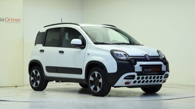 Fiat Panda Tageszulassung