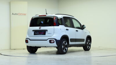 Fiat Panda Tageszulassung