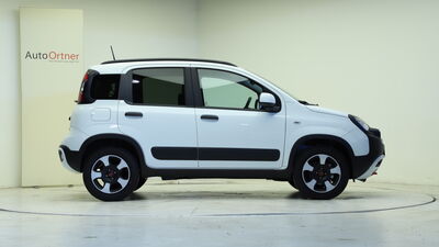 Fiat Panda Tageszulassung