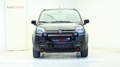 Fiat Panda Tageszulassung