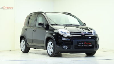 Fiat Panda Tageszulassung