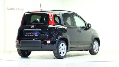 Fiat Panda Tageszulassung