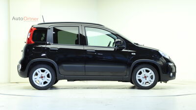 Fiat Panda Tageszulassung