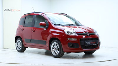 Fiat Panda Gebrauchtwagen